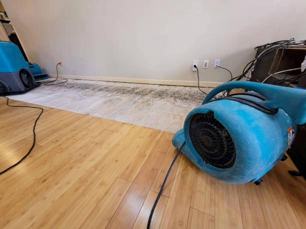 Professional Water Damage Repair technician working in Lewisburg, OH